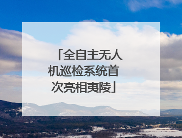 全自主无人机巡检系统首次亮相夷陵