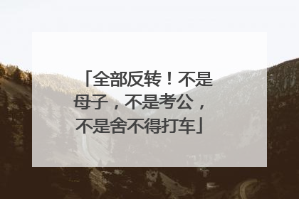 全部反转！不是母子，不是考公，不是舍不得打车