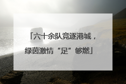 六十余队竞逐港城，绿茵激情“足”够燃