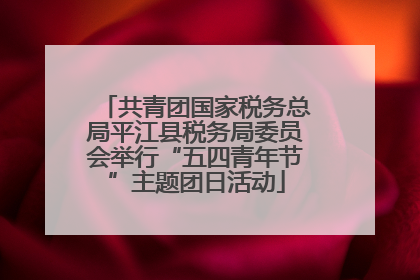 共青团国家税务总局平江县税务局委员会举行“五四青年节”主题团日活动