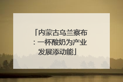 内蒙古乌兰察布：一杯酸奶为产业发展添动能