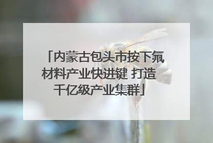 内蒙古包头市按下氟材料产业快进键 打造千亿级产业集群
