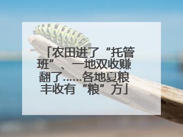 农田进了“托管班”、一地双收赚翻了……各地夏粮丰收有“粮”方