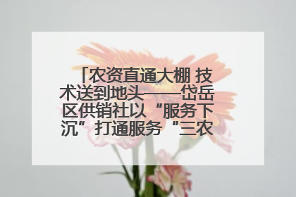 农资直通大棚 技术送到地头——岱岳区供销社以“服务下沉”打通服务“三农”最后一公里
