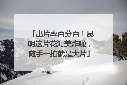 出片率百分百！昆明这片花海美炸啦，随手一拍就是大片