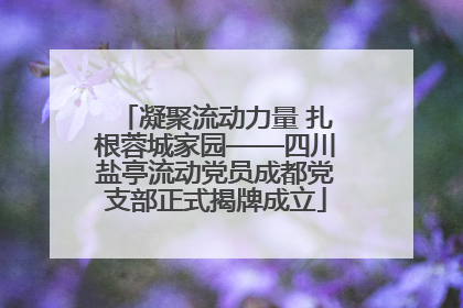 凝聚流动力量 扎根蓉城家园——四川盐亭流动党员成都党支部正式揭牌成立