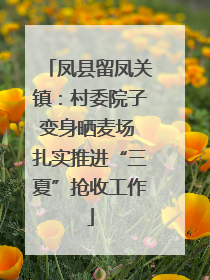 凤县留凤关镇：村委院子变身晒麦场 扎实推进“三夏”抢收工作
