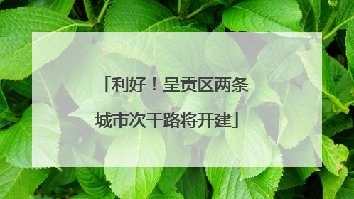 利好！呈贡区两条城市次干路将开建