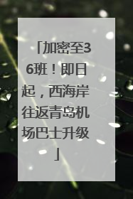 加密至36班！即日起，西海岸往返青岛机场巴士升级