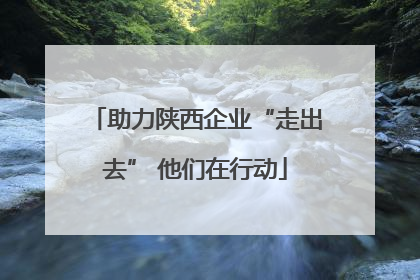 助力陕西企业“走出去” 他们在行动