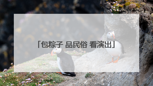 包粽子 品民俗 看演出
