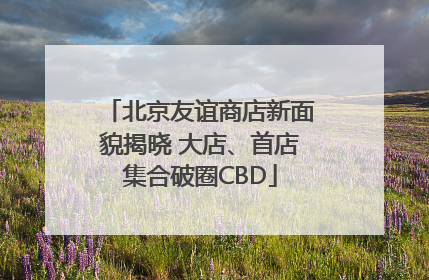 北京友谊商店新面貌揭晓 大店、首店集合破圈CBD
