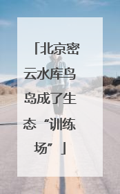 北京密云水库鸟岛成了生态“训练场”