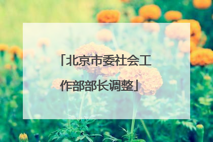 北京市委社会工作部部长调整