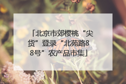 北京市郊樱桃“尖货”登录“北苑路88号”农产品市集