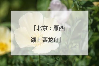 北京：雁西湖上赛龙舟