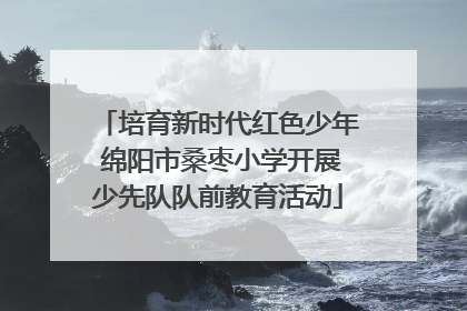 培育新时代红色少年 绵阳市桑枣小学开展少先队队前教育活动