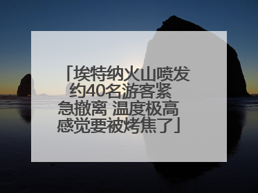 埃特纳火山喷发 约40名游客紧急撤离 温度极高感觉要被烤焦了