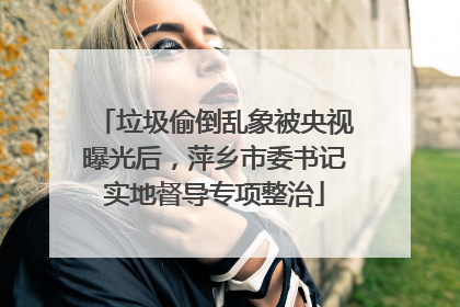 垃圾偷倒乱象被央视曝光后，萍乡市委书记实地督导专项整治
