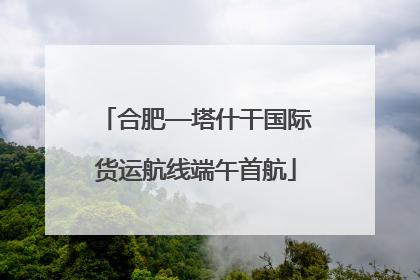 合肥—塔什干国际货运航线端午首航