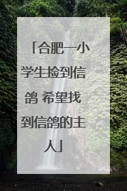 合肥一小学生捡到信鸽 希望找到信鸽的主人