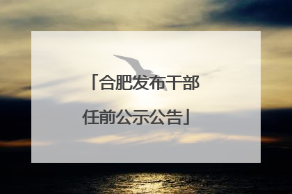 合肥发布干部任前公示公告