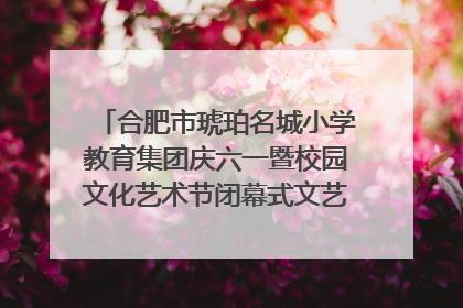 合肥市琥珀名城小学教育集团庆六一暨校园文化艺术节闭幕式文艺汇演圆满举行