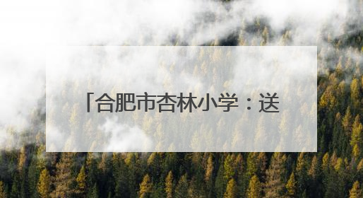 合肥市杏林小学：送教古城 互学共研