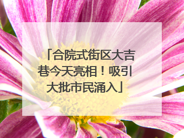 合院式街区大吉巷今天亮相！吸引大批市民涌入