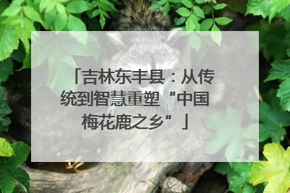 吉林东丰县：从传统到智慧重塑“中国梅花鹿之乡”