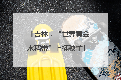吉林：“世界黄金水稻带”上插秧忙
