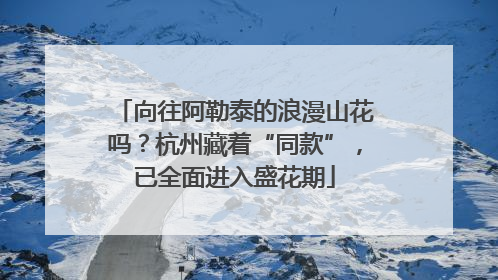 向往阿勒泰的浪漫山花吗？杭州藏着“同款”，已全面进入盛花期