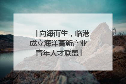 向海而生，临港成立海洋高新产业青年人才联盟