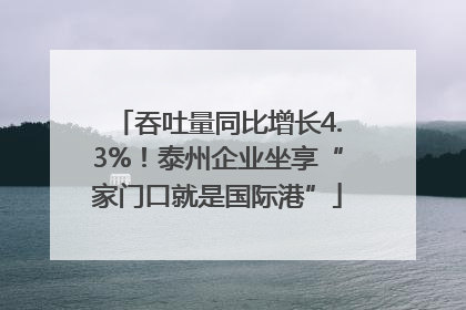 吞吐量同比增长4.3%！泰州企业坐享“家门口就是国际港”