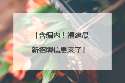 含编内！福建最新招聘信息来了