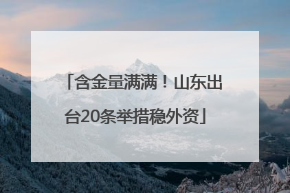 含金量满满！山东出台20条举措稳外资