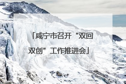 咸宁市召开“双回双创”工作推进会