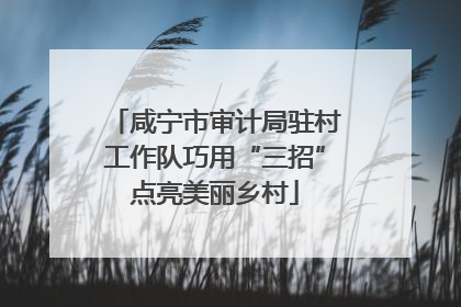 咸宁市审计局驻村工作队巧用“三招”点亮美丽乡村
