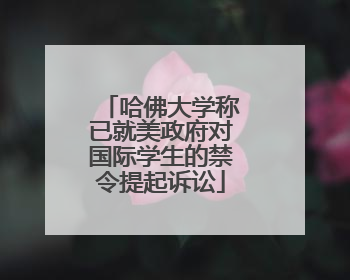 哈佛大学称已就美政府对国际学生的禁令提起诉讼