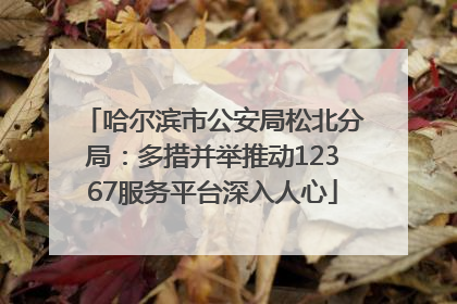 哈尔滨市公安局松北分局：多措并举推动12367服务平台深入人心