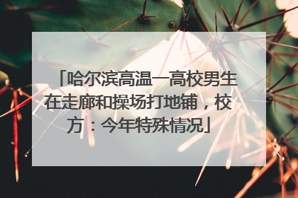 哈尔滨高温一高校男生在走廊和操场打地铺，校方：今年特殊情况