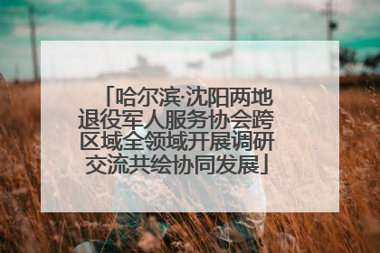 哈尔滨·沈阳两地退役军人服务协会跨区域全领域开展调研交流共绘协同发展
