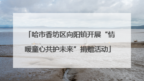 哈市香坊区向阳镇开展“情暖童心共护未来”捐赠活动