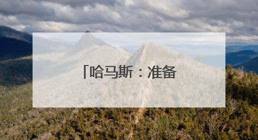 哈马斯：准备就加沙停火展开新一轮谈判