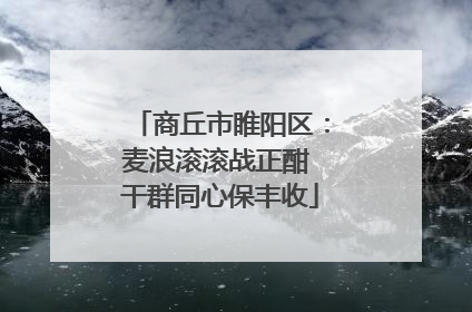 商丘市睢阳区：麦浪滚滚战正酣 干群同心保丰收