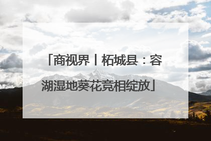 商视界丨柘城县：容湖湿地葵花竞相绽放
