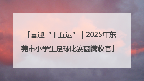 喜迎“十五运”｜2025年东莞市小学生足球比赛圆满收官