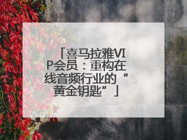 喜马拉雅VIP会员：重构在线音频行业的“黄金钥匙”