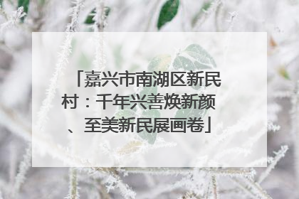 嘉兴市南湖区新民村：千年兴善焕新颜、至美新民展画卷