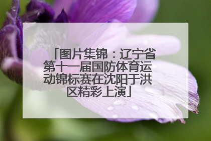 图片集锦：辽宁省第十一届国防体育运动锦标赛在沈阳于洪区精彩上演